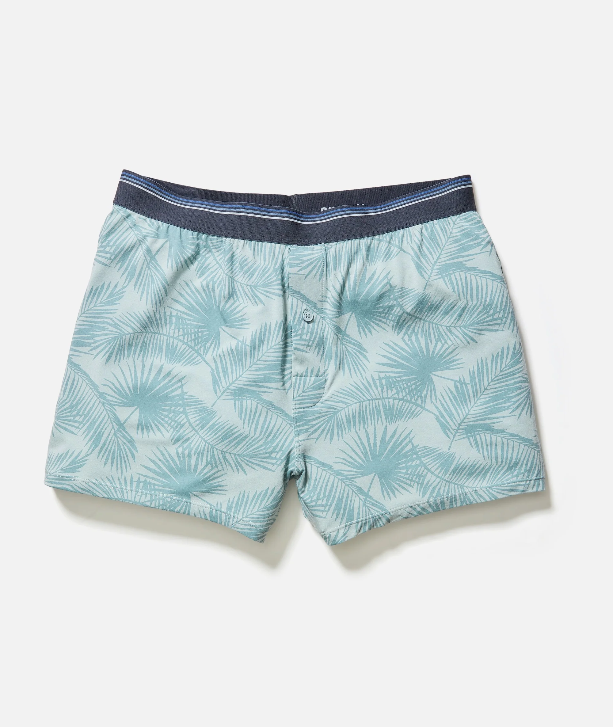 Best Boxers Ever